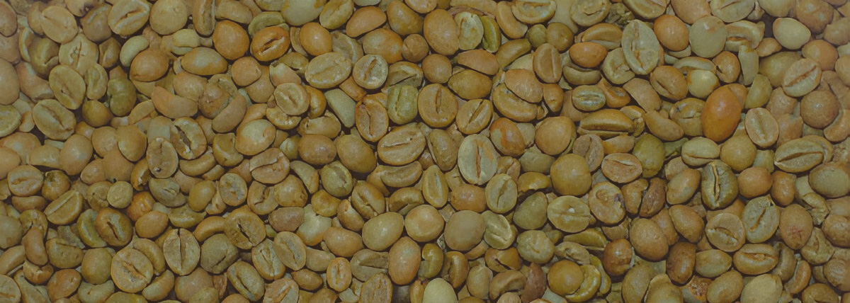 Arabica cherry coffee