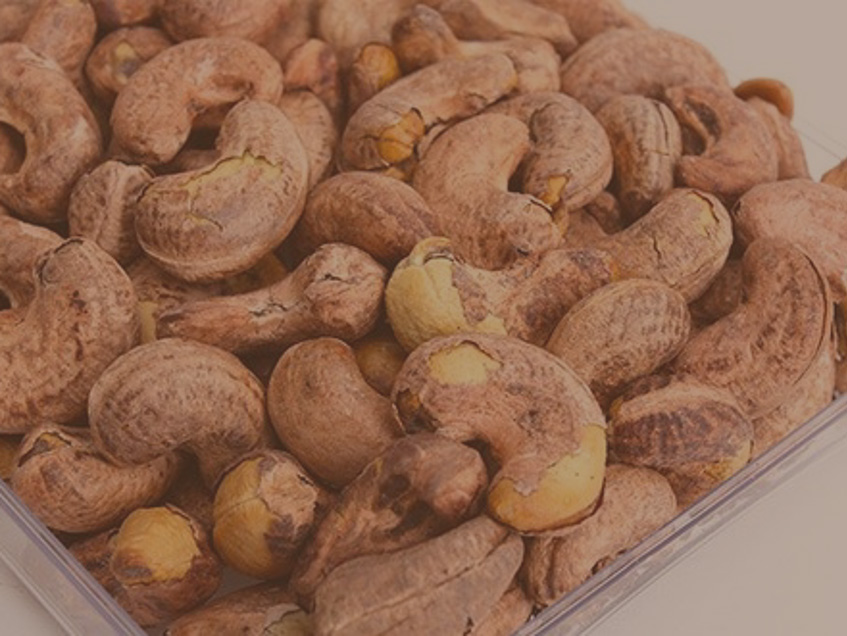 Cashew