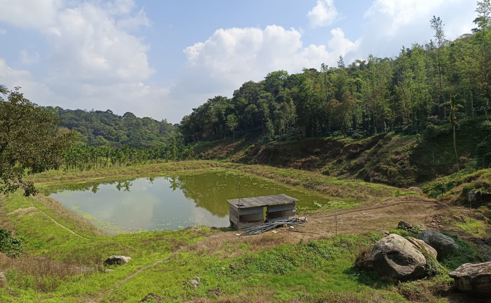 Monsooned Malabar Coffee