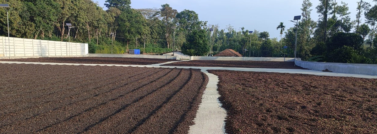 Single Estate Coffee2